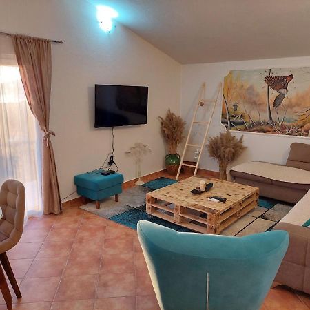 Guest House Pocanic Τίβατ Εξωτερικό φωτογραφία